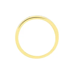 Histoire d'Or Alliance Aileen