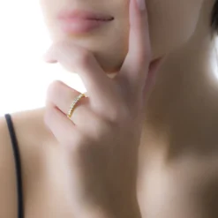 Alliance Eloise-Histoire d'Or