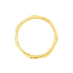 Histoire d'Or Bague Aissata Acier Dore