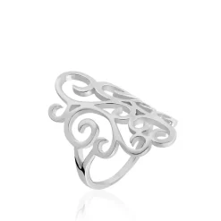 Bague Lizon Argent-Histoire d'Or New