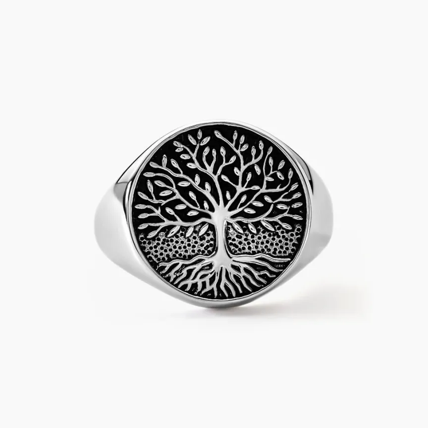 Bague Maximiliano Argent Blanc-Histoire d'Or Online
