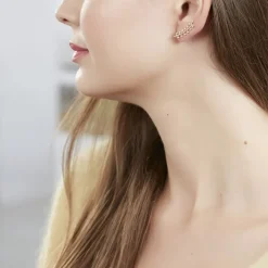 Histoire d'Or Boucles D'oreilles Grimpantes Folia Plaqué Or Jaune