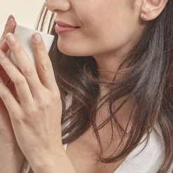 Histoire d'Or Boucles D'oreilles Puces Evaelle Papillon Or Jaune Oxyde De Zirconium