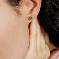 Boucles D'oreilles Puces Franzine Coquillage Or Jaune-Histoire d'Or Best