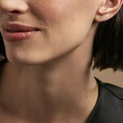 Boucles D'oreilles Puces Pepita De Zirconium-Histoire d'Or