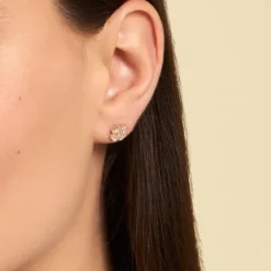 Histoire d'Or Boucles D'oreilles Puces Rhosyn Plaqué Or Jaune Oxyde