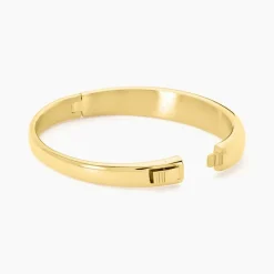 Bracelet Jonc Emiliaan Acier Jaune-Histoire d'Or Online