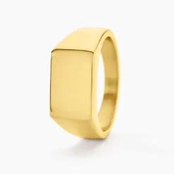 Chevalière Luciano-Histoire d'Or Discount