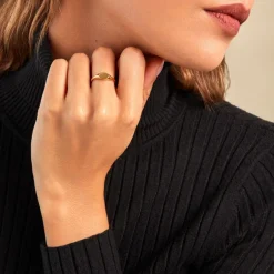 Histoire d'Or Chevalière Griffin Or Jaune