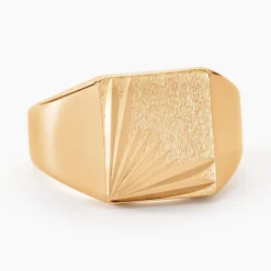 Chevalière Lionel Plaqué Or Jaune-Histoire d'Or New