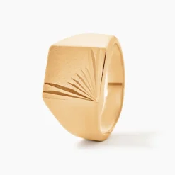 Chevalière Lionel Plaqué Or Jaune-Histoire d'Or New