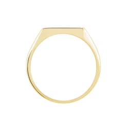 Chevalière Lionel Plaqué Or Jaune-Histoire d'Or New