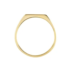 Histoire d'Or Chevalière Plaqué Or Jaune Alfonso