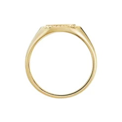 Chevalière Plaqué Or Jaune Louie-Histoire d'Or Outlet