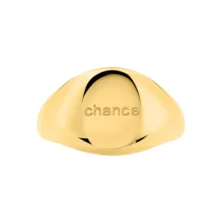 Chevalière Sabadell Acier Jaune-Histoire d'Or