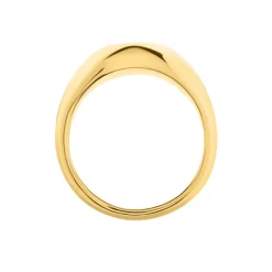 Chevalière Sabadell Acier Jaune-Histoire d'Or