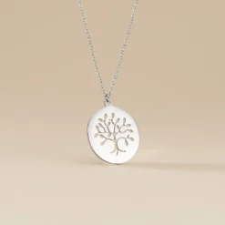 Collier Acier Blanc Ganet-Histoire d'Or