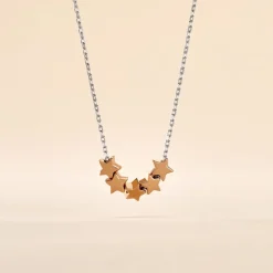 Histoire d'Or Collier Argent Bicolore Manya