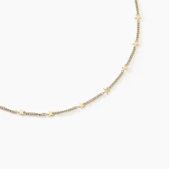 Collier Eva Acier Jaune-Histoire d'Or