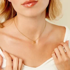 Collier Fino Acier Jaune-Histoire d'Or Clearance