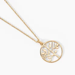 Collier Galvina Plaqué Or Jaune-Histoire d'Or New