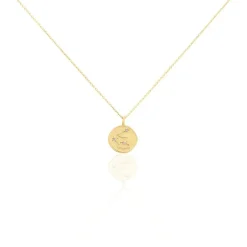 Collier Iago Plaqué Or Oxydes De Zirconium-Histoire d'Or Hot