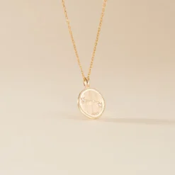 Histoire d'Or Collier Iago Plaqué Or Oxydes De Zirconium