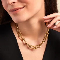 Histoire d'Or Collier Lyre Acier Jaune