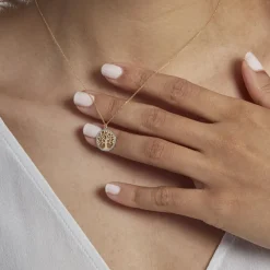 Histoire d'Or Collier Or Bicolore Solidage