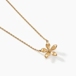 Histoire d'Or Collier Zinnia Plaqué Or Jaune