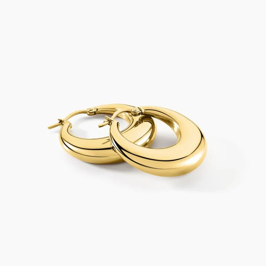 Histoire d'Or Créoles Creolia Acier Jaune