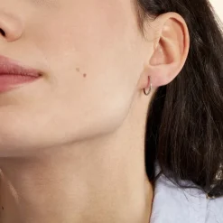 Histoire d'Or Créoles Dominae