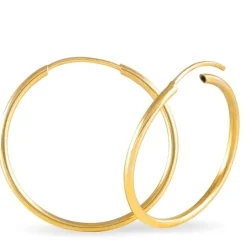 Histoire d'Or Créoles Dominae