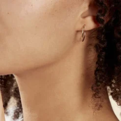 Histoire d'Or Créoles Dominae