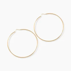 Histoire d'Or Créoles Dominae