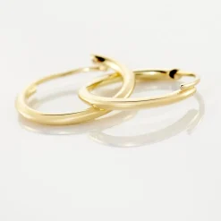 Histoire d'Or Créoles Dominae