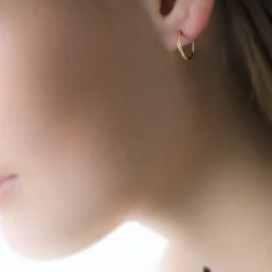 Histoire d'Or Créoles Dominae