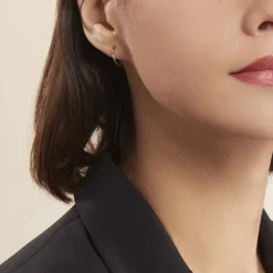 Histoire d'Or Créoles Dominae