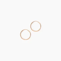 Histoire d'Or Créoles Dominae