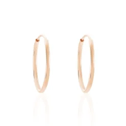 Histoire d'Or Créoles Dominae