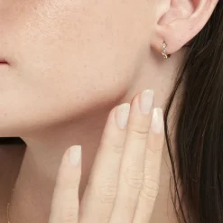 Créoles Leatrice-Histoire d'Or