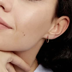 Créoles Valencina-Histoire d'Or Discount