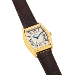 ARCTIK Montre Globe Argenté