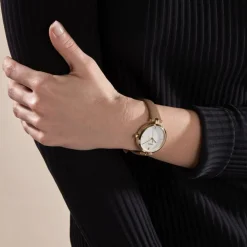 Montre Boss Majesty Argenté-HUGO BOSS Discount