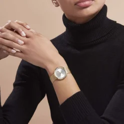 CALVIN KLEIN Montre Twist Argenté