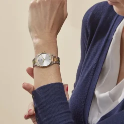 Montre Feroce Petite Argenté-CLUSE Best