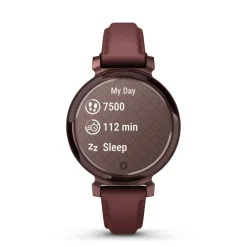 GARMIN Montre Connectée Lily 2 Marron