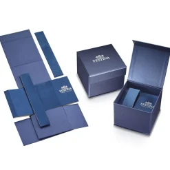 FESTINA Montre Classics Argenté