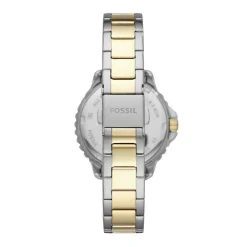 FOSSIL Montre   Izzy Multifunction Argenté