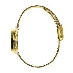 LIP Montre Himalaya Dauphine 29 Marron